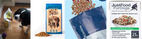 From the folks who disrupted your mattress comes the latest dog food startup. Best Dog Food Delivery Service- Jinx vs Wild Earth vs Just ...