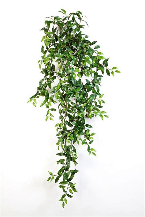 N Artificial Hanging Plants Hanging Plants Tree Photoshop