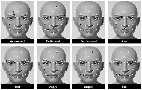 symmetry free full text facial feature movements caused by various emotions differences
