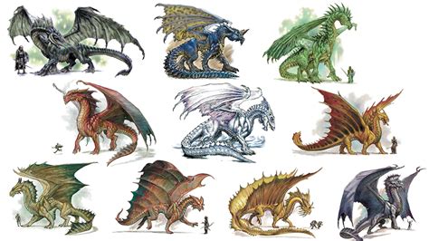 Dragon Crossgoersdnd Wiki Fandom