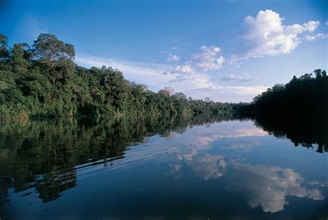 Amazon River Brazil Travel Guide Virtual University Of Pakistan