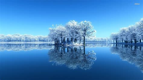 Frosty Lakeside Trees Nature Wallpaper Amazing Colourful