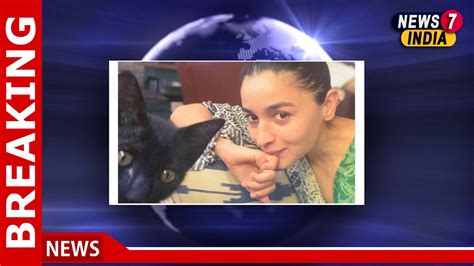 alia bhatt welcomes new cat juniper with a new pic 04 07 2020 youtube