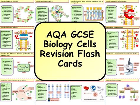 Aqa Flashcards Science A Level Biology Ocr Flashcard Flashcards