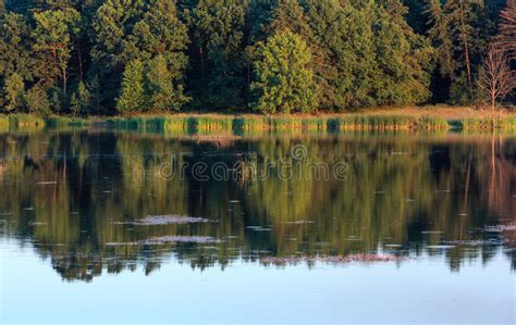 Evening Summer Lake Landscape Stock Image Image Of Scenery
