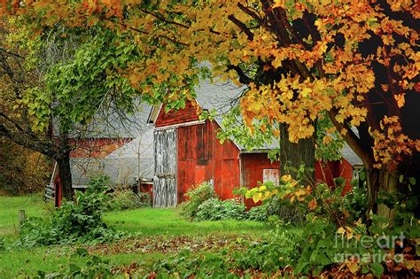 New England Rustic New England Fall Landscape Red Barn