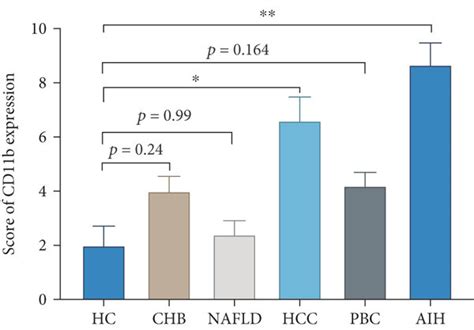 Immunohistochemistry Analysis Of The Expression Of Cd B In The Liver