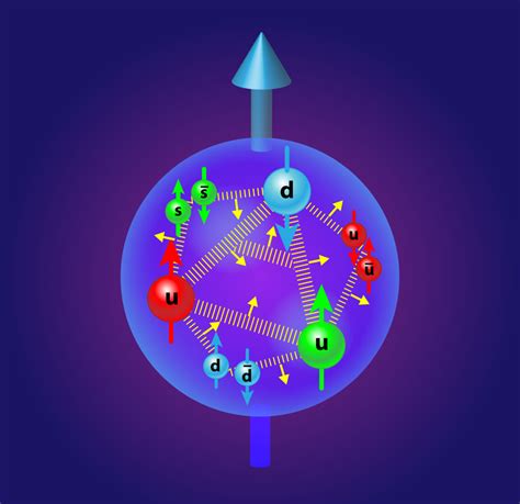 Physics Spinning Gluons In The Proton