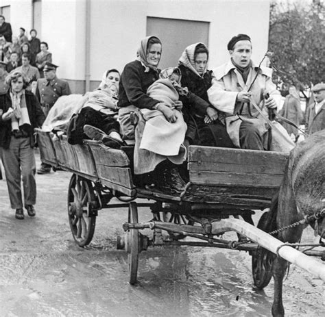 Wofür starben die sowjetischen soldaten in ungarn 1956? Volksaufstand 1956: Wie Österreich die ungarischen ...
