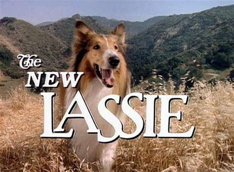 The New Lassie Tv Series Radio Times