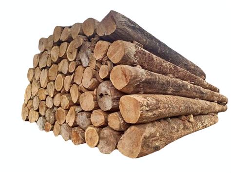 Ghana Teak Wood Timber Log At Rs 1800cubic Feet In Chennai Id