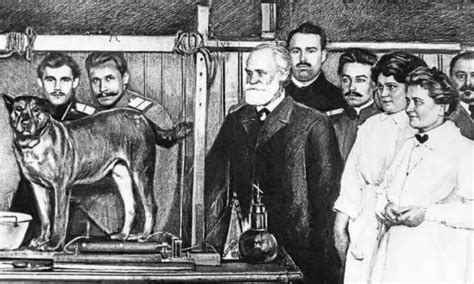 Ivan Pavlov And Positive Reinforcement In Dogs My Animals