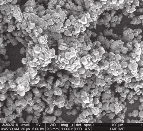 The Scanning Electron Micrograph Magnificent 1000 X Of Tapioca