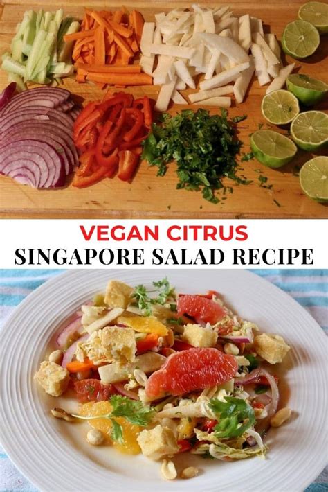 Vegan Citrus “rojak” Singapore Salad Recipe Dobbernationloves