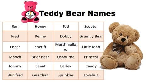 Funny Teddy Bear Names Best Cute And Good Vocabulary Point