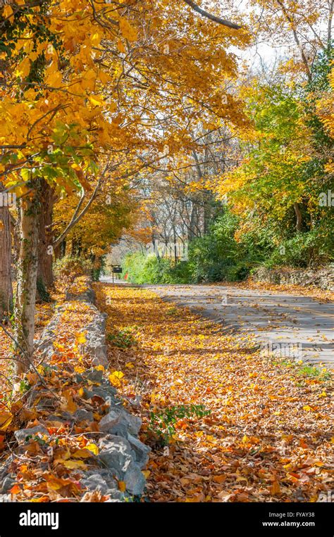 Colorful Foliage In Autumn On A Rural Road In Kentucky Usa Stock Photo