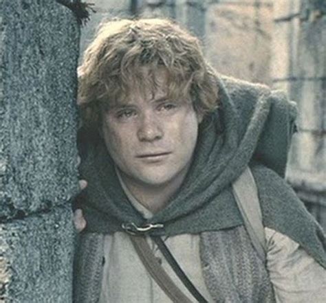 Lord Of The Rings Samwise Gamgee Lord Of The Rings The Hobbit Movies