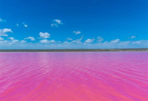Aggregate 89 About Pink Lakes South Australia Best Vn