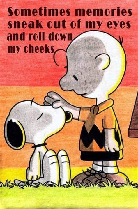 Memory Snoopy Quotes Funny Cartoon Quotes Funny Picture Quotes