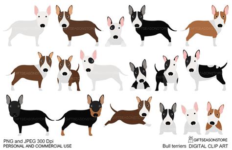 Bull Terriers Digital Clip Art For Personal And Commercial Use Etsy