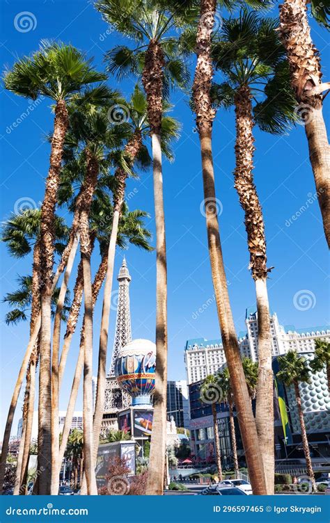 Palm Trees On The Streets Of Las Vegas Nevada Editorial Image Image