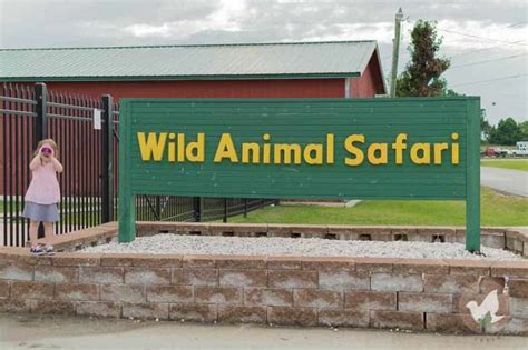 Skip The Branson Mo Zoos And Go For A Real Adventure Wild Animal