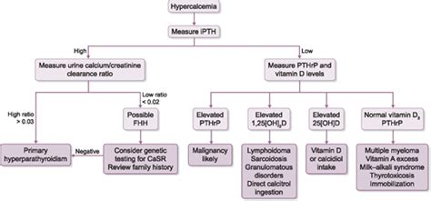 Diagnostic Algorithm For The Workup Of Hypercalcemia The Diagnostic