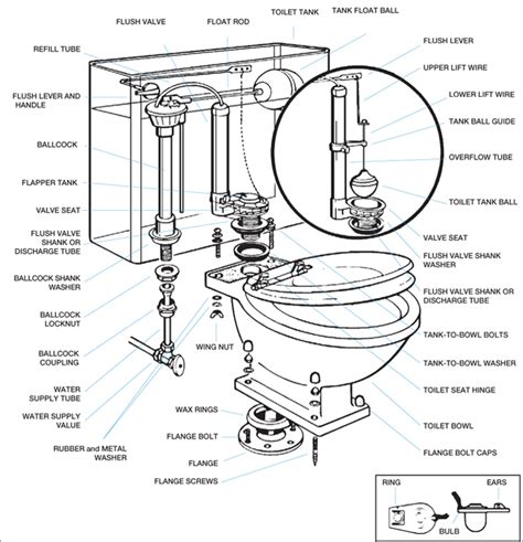 Replacing Toilet Flush Valve Assembly Toilet Surgery