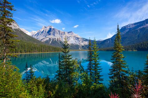 Emerald Lake Banff National Park Canada Jigsaw Puzzle In Great