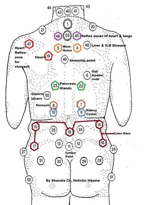 cupping therapy points chart