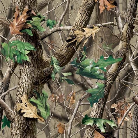 √ Realtree Hunting Camouflage Patterns Alumn Photograph