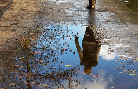 Autumn Puddle Reflection Photograph By David Resnikoff Fine Art America