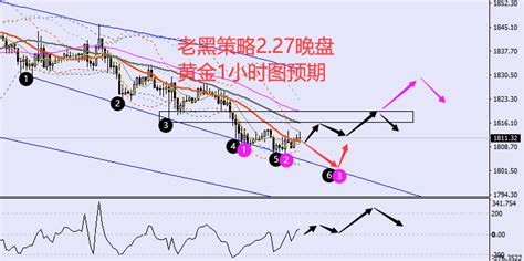 老黑策略：227晚盘外汇、黄金、原油分析策略中金在线财经号