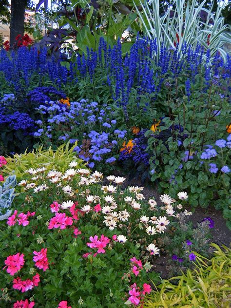Garden Of Blue White And Pink Flowers Flower Garden Plans Flower