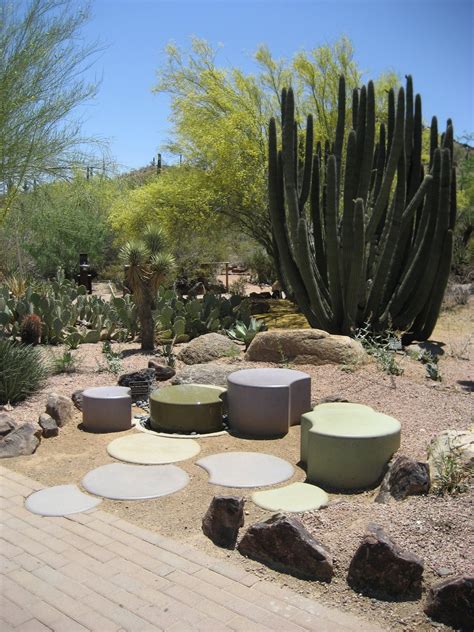 By susan patterson master gardener. Awesome Desert Landscaping Ideas with Lovely Desert Plants ...