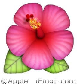 Emoji meaning a pink tulip flower. 🌺 Hibiscus Emoji (U+1F33A/U+E303)