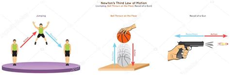 Newton Third Law Of Motion Infographic Diagrama Que Muestra La Acción