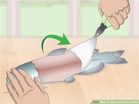 See full list on wikihow.com How to Skin and Clean Catfish: 14 Steps (with Pictures ...