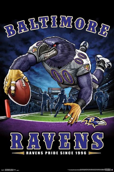 Baltimore Ravens End Zone Baltimoreravens Nflfootball Nfl