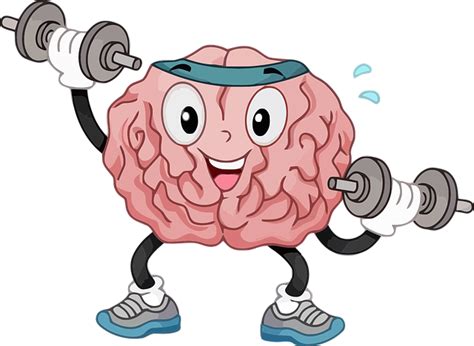 Cerebro Organo Músculo Gráficos Vectoriales Gratis En Pixabay Pixabay