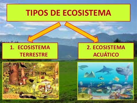 Ecosistemas Acu Ticos Y Marinos Quizizz