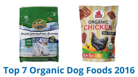 If you try to eat a lot of organic food, you might want to offer the same to your dog. 7 Best Organic Dog Foods 2016 - YouTube