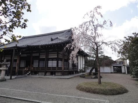 Asisbiz Byodo In Buddhist Temple Kannondo City Of Uji In Kyoto