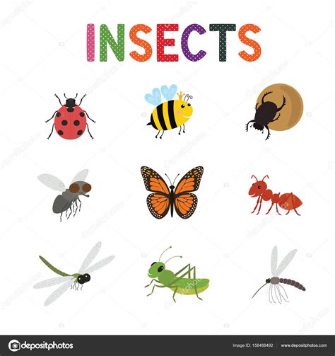 Funny Insects Cute Cartoon Bugs Vector Set Colored