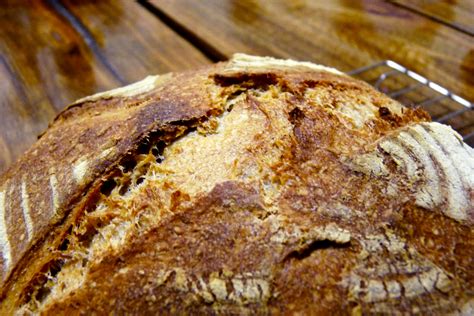 Your best bet is to tailor your sandwich to fit your particular health goals. Barley and Wheat Bran Miche - Sourdough