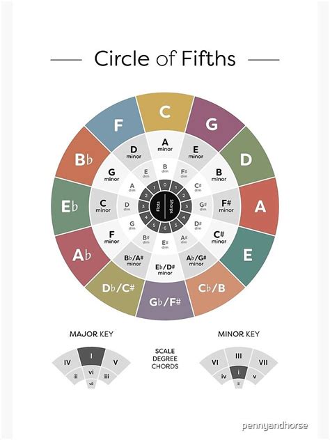 Circle Of Fifths Music Theory Poster Poster For Sale By