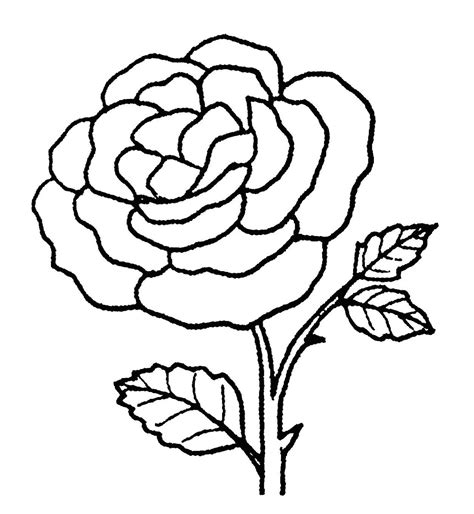 Gambar Bunga Sketsa