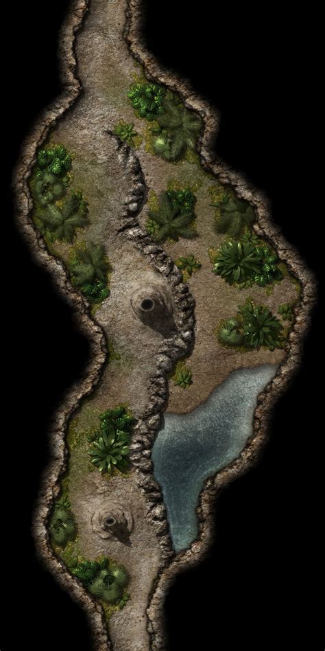 Underdark Passage Cavern Pond Jungle Fantasy City Map Fantasy Landscape Dungeon Maps