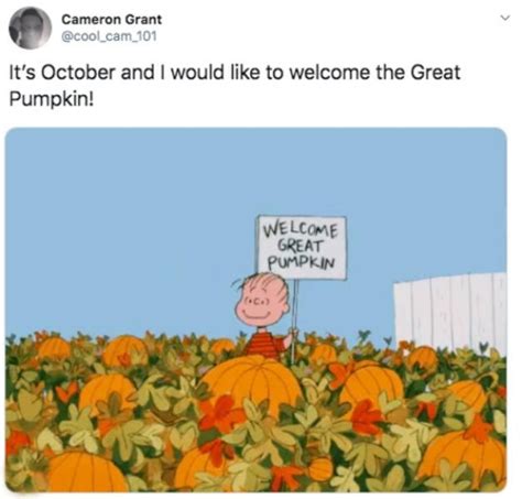 October Memes 29 Pics