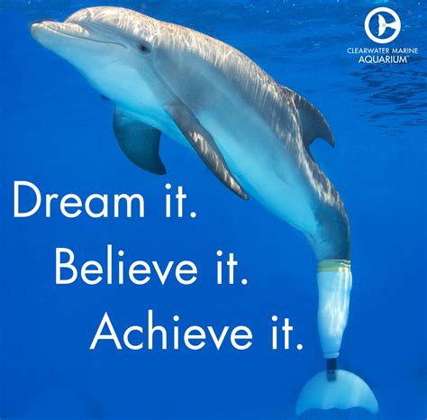 'a fish tank is just interactive television for cats.', russell hoban: #MotivationalMonday | Dolphins, Dolphin tale, Dolphin quotes